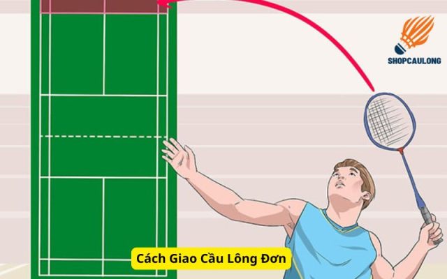 Cách Giao Cầu Lông Đơn