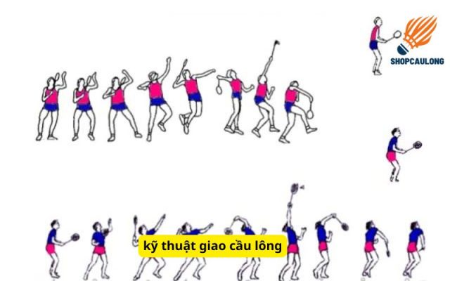 kỹ thuật giao cầu lông