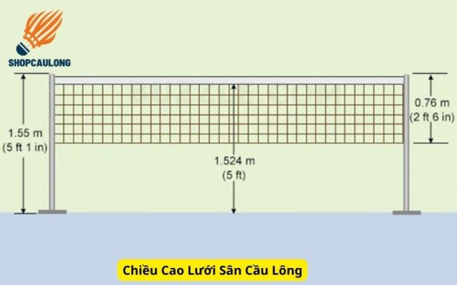 Chiều Cao Lưới Sân Cầu Lông
