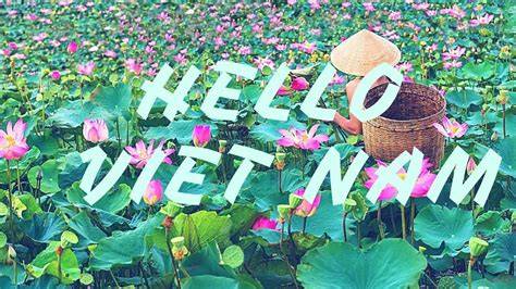 hello-viet-nam